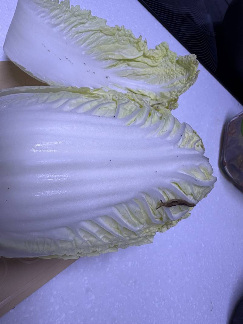 [잡담] 갑자기 찾아 온 친구 좀 부담스럽네 | 인스티즈