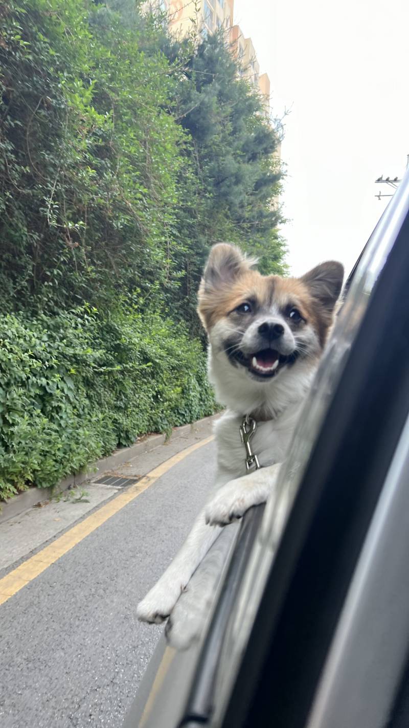 [잡담] 가나디 확대해써 히히 | 인스티즈
