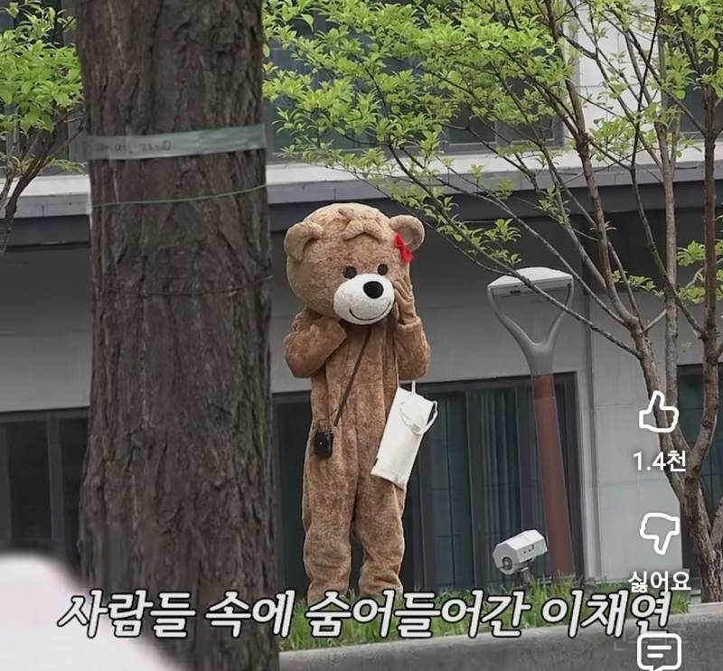 곰돌이탈도 뚫지못한 이채연 내향력..jpg | 인스티즈