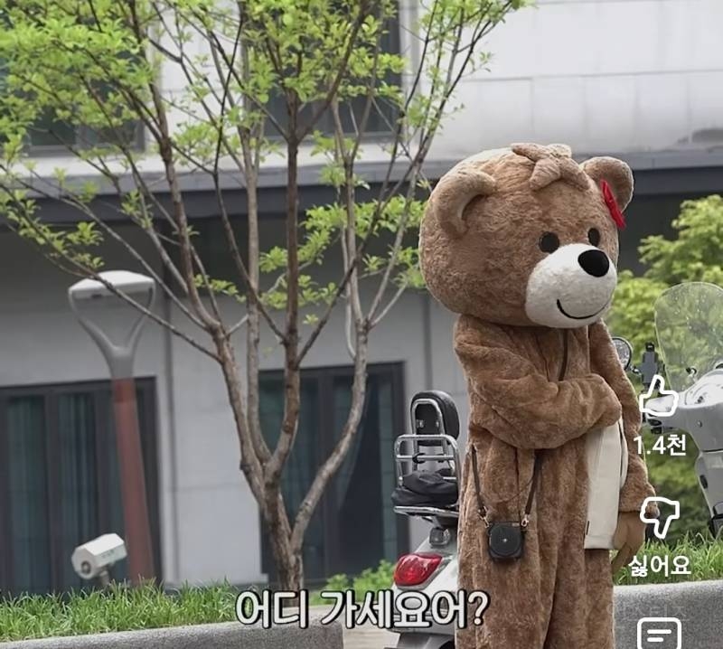 곰돌이탈도 뚫지못한 이채연 내향력..jpg | 인스티즈