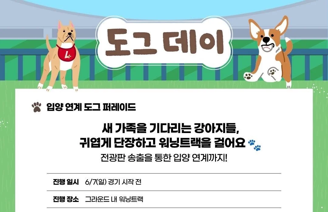 [잡담] SSG랜더스 도그데이에 유기견 입양 부스 진행함 | 인스티즈