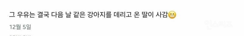 당근 강아지 간식 거래 후기 | 인스티즈