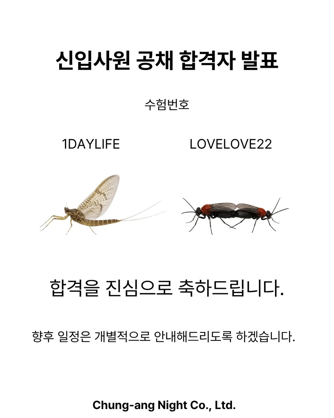 [잡담] [신입사원 공채 합격자 발표] | 인스티즈