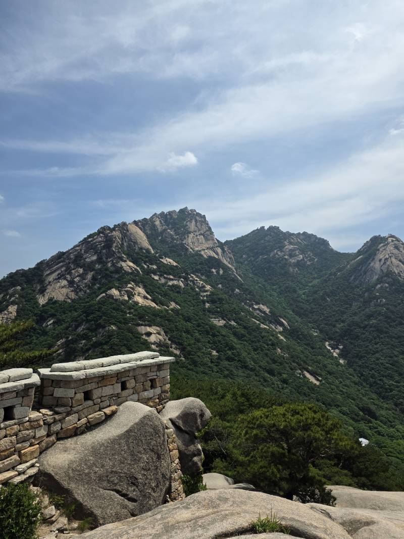 [잡담] 오늘 아침에 공복 등산 다녀왔당 | 인스티즈