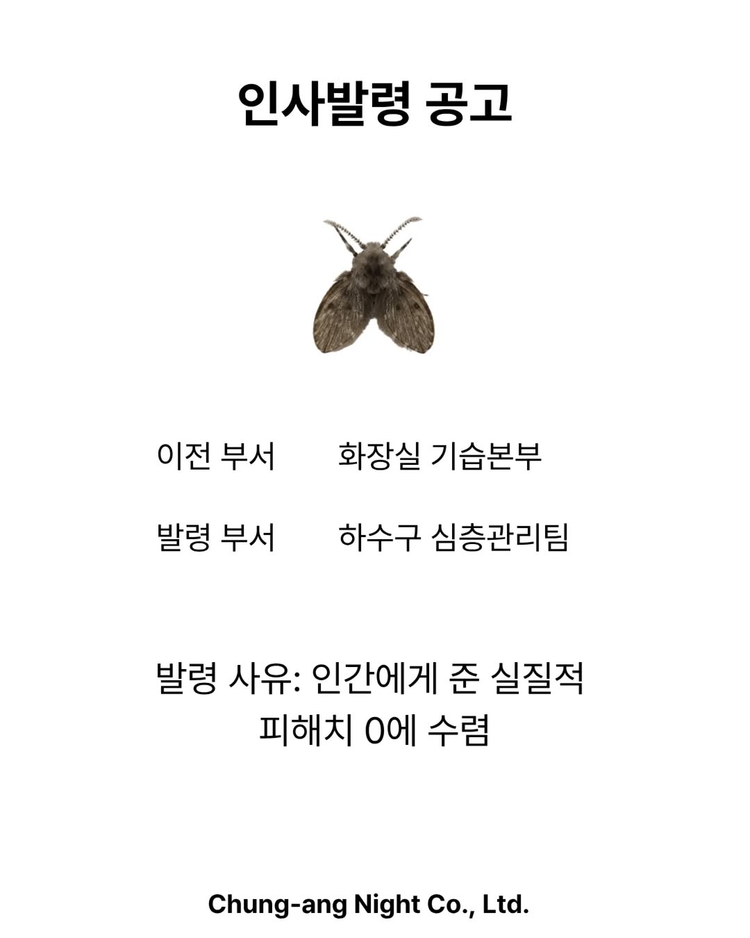 [잡담] [신입사원 공채 합격자 발표] | 인스티즈
