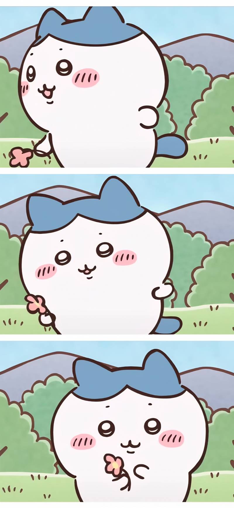[잡담] 하치 3분할 폰배경화면 | 인스티즈
