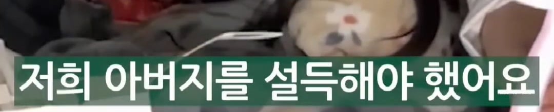 [잡담] 리센느 원이 아버지 소속사 들어가는거 반대했다는데 | 인스티즈