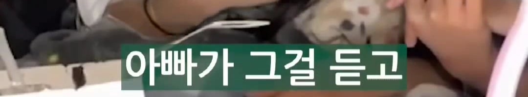 [잡담] 리센느 원이 아버지 소속사 들어가는거 반대했다는데 | 인스티즈
