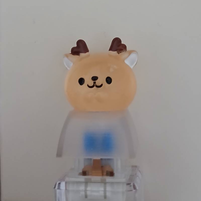 [잡담] 내 하찮은 키캡 키링 봐줘 (ㄹㅇ 하찮음 주의) | 인스티즈