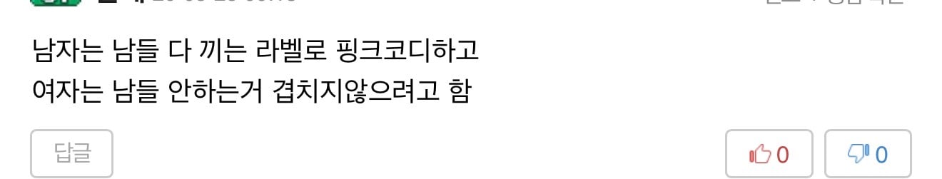 [잡담] 옆커뮤에서 본 성별 구분 코디라는데 | 인스티즈