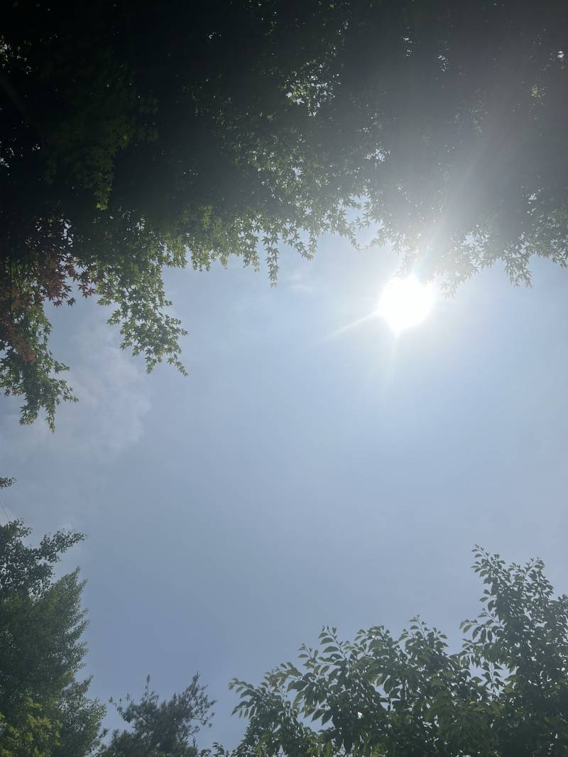 [잡담] 밤새고 광합성 하는중 | 인스티즈