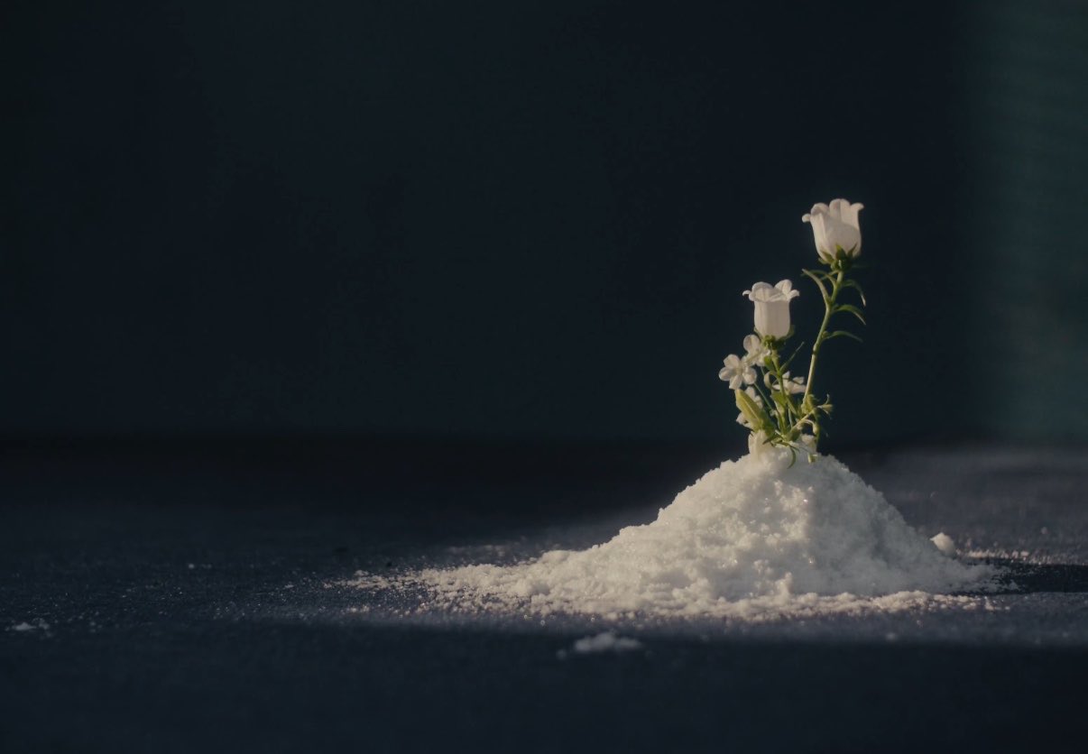 [잡담] 눈에서도 꽃 피우는거 완전 쥔이 감성 | 인스티즈