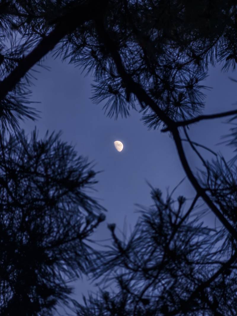 [잡담] 달 찍었다 🌕 | 인스티즈