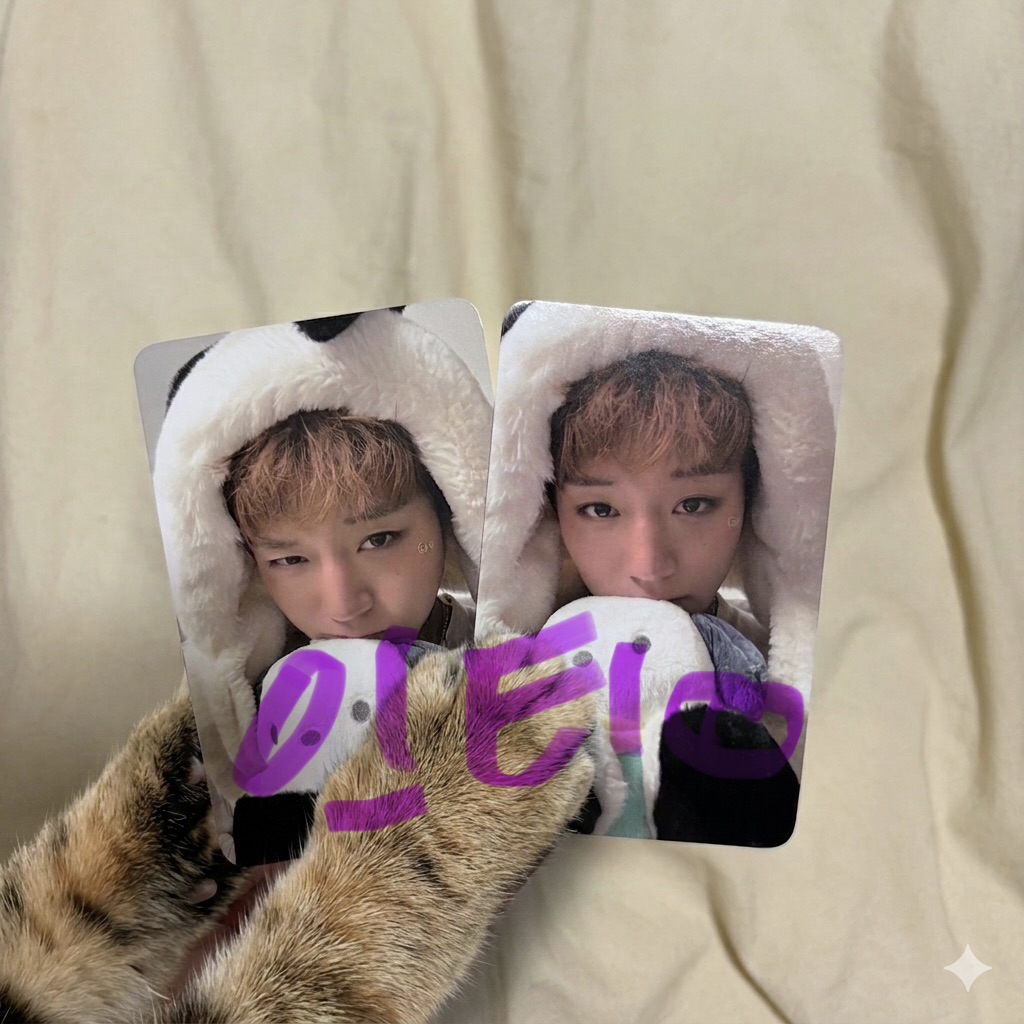 [잡담] 나도 박지훈 포차코 버전 포카옴 | 인스티즈