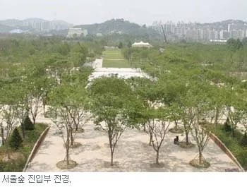 [잡담] 2005년 서울숲 현재 서울숲 신기하다 | 인스티즈