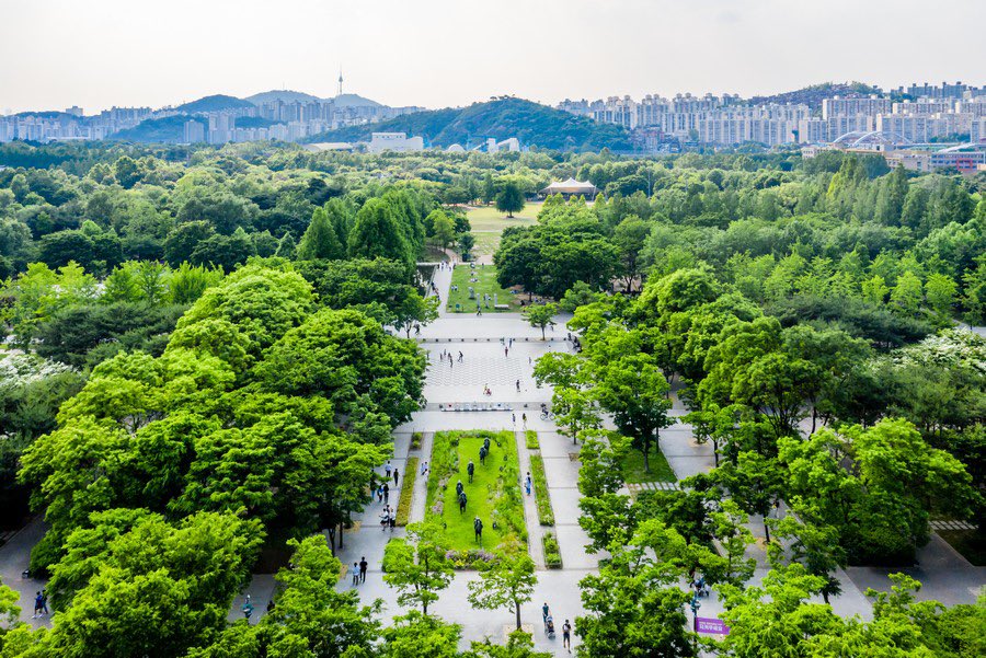 [잡담] 2005년 서울숲 현재 서울숲 신기하다 | 인스티즈