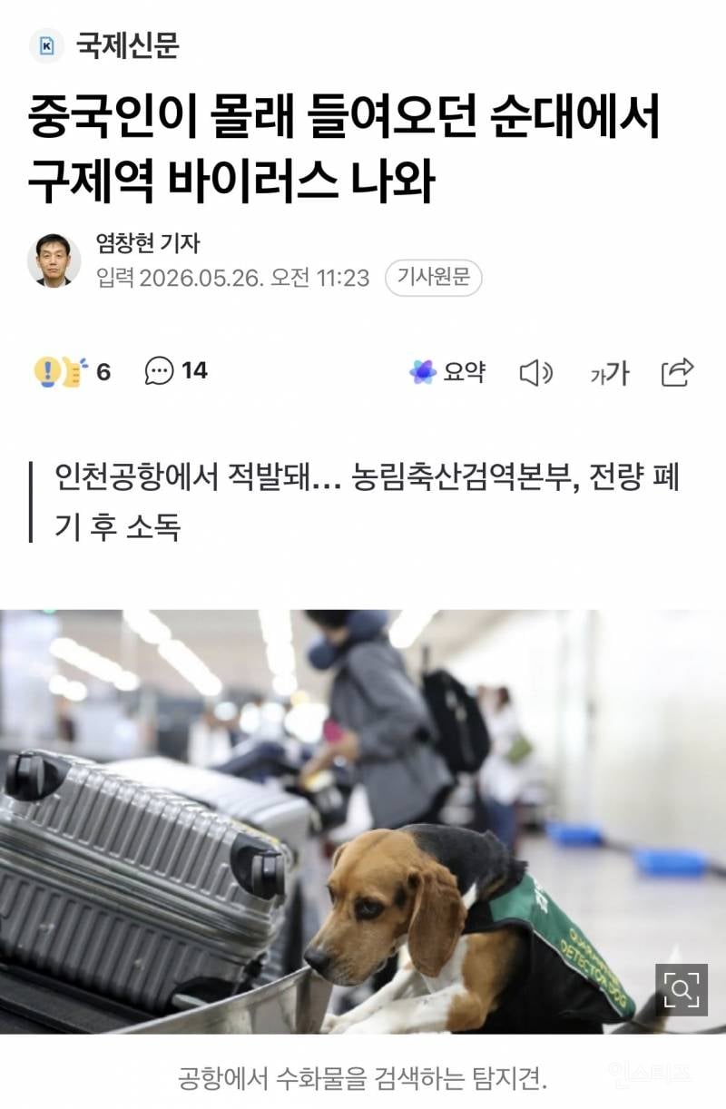 중국인이 몰래 들여오던 순대에서 구제역 바이러스 나와 | 인스티즈
