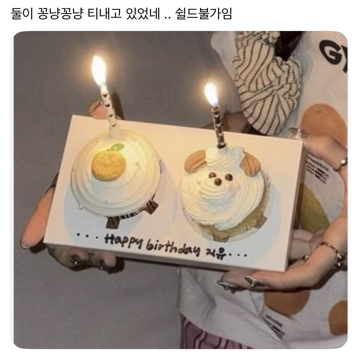 [마플] 털 수북한 성인 남자 강아지로 모에화 하면서 | 인스티즈