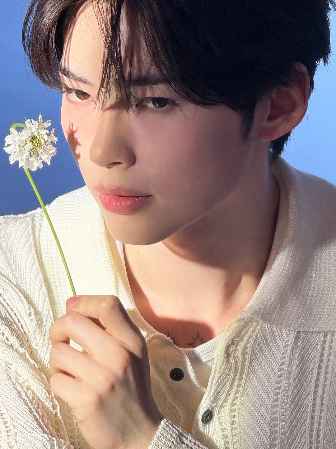 [잡담] 성한빈 꽃퍼컬왔다 | 인스티즈