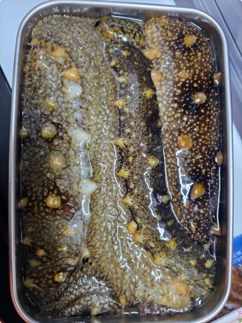 [잡담] 내가 해삼 손질을 할 수 있을까...? | 인스티즈