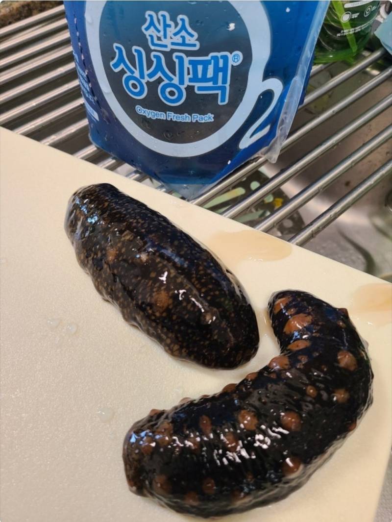 [잡담] 내가 해삼 손질을 할 수 있을까...? | 인스티즈