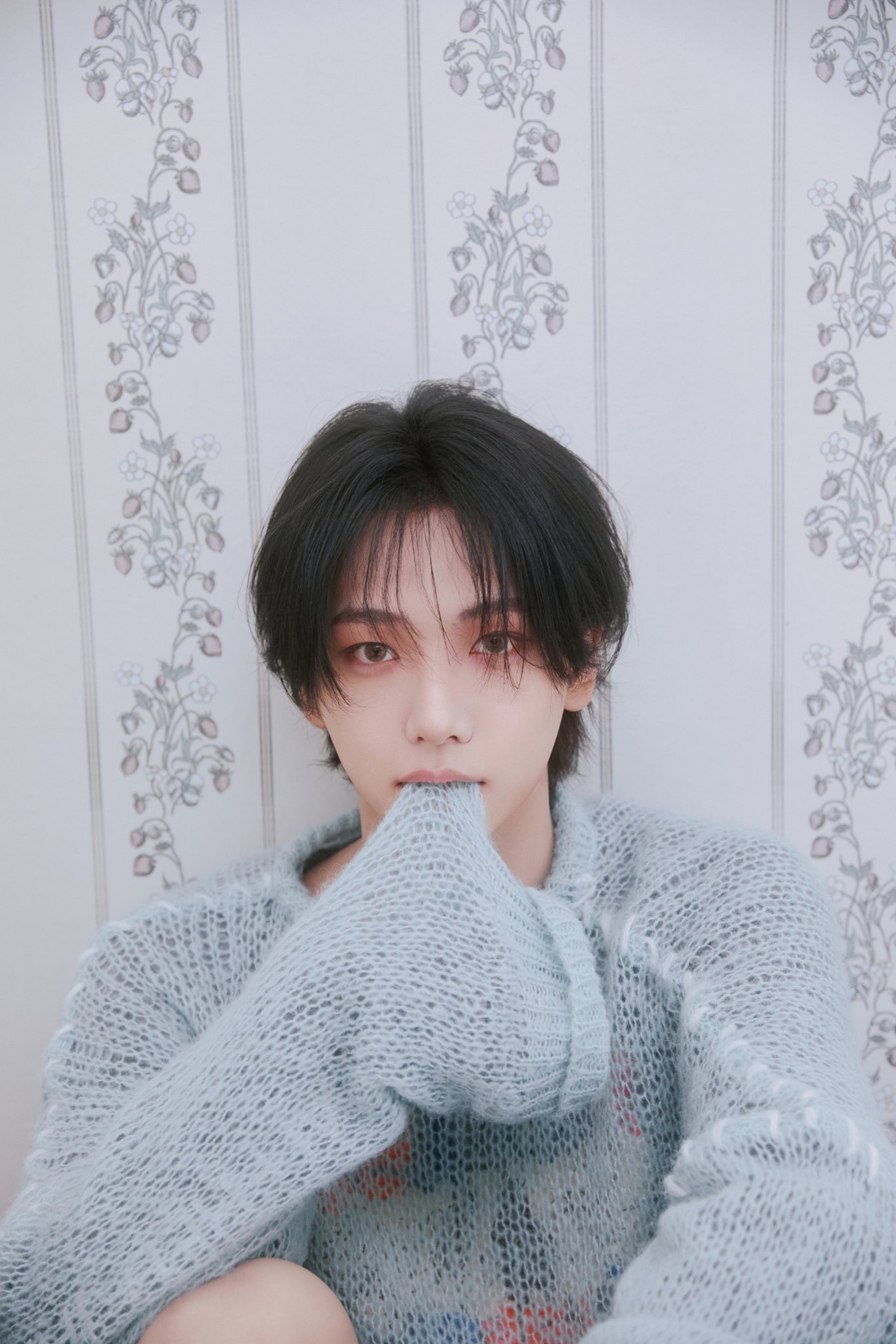 [잡담] 보넥도 오늘 컨포 멤버별 내 픽 | 인스티즈