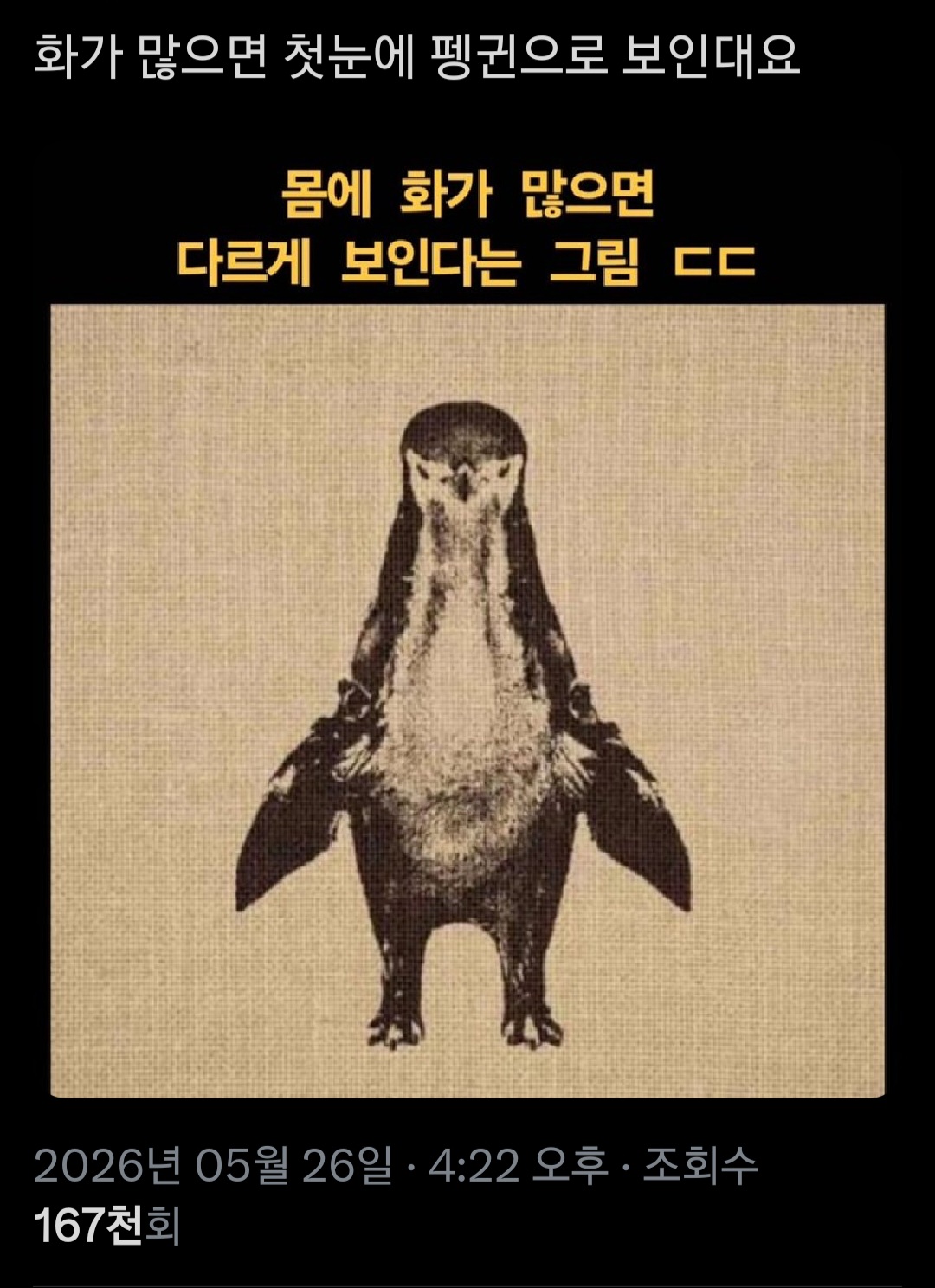 [잡담] 이거 팽귄 아니면 뭘로 보여? | 인스티즈