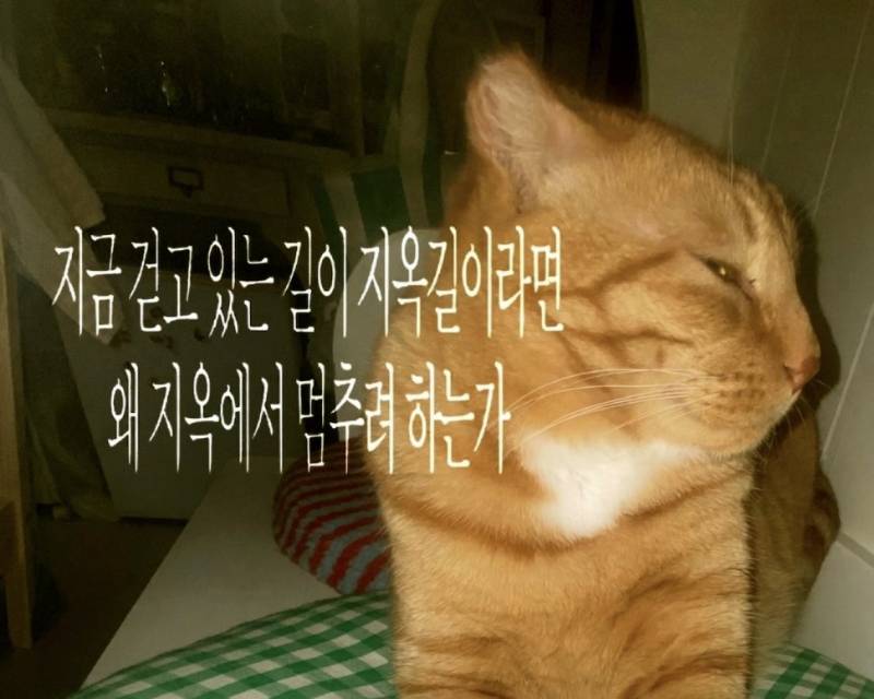 [잡담] 아 이짤 하락장 오면 쓰고싶어서 죽겟다 | 인스티즈