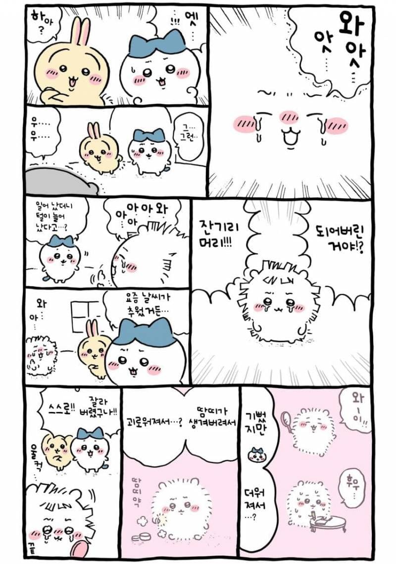 [잡담] 셀프 미용은 조심했어야지 치이야 | 인스티즈