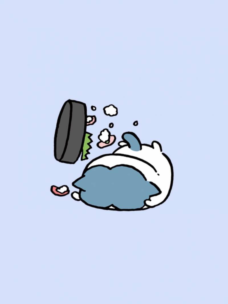 [잡담] 하치야 뛰지마 💥 | 인스티즈