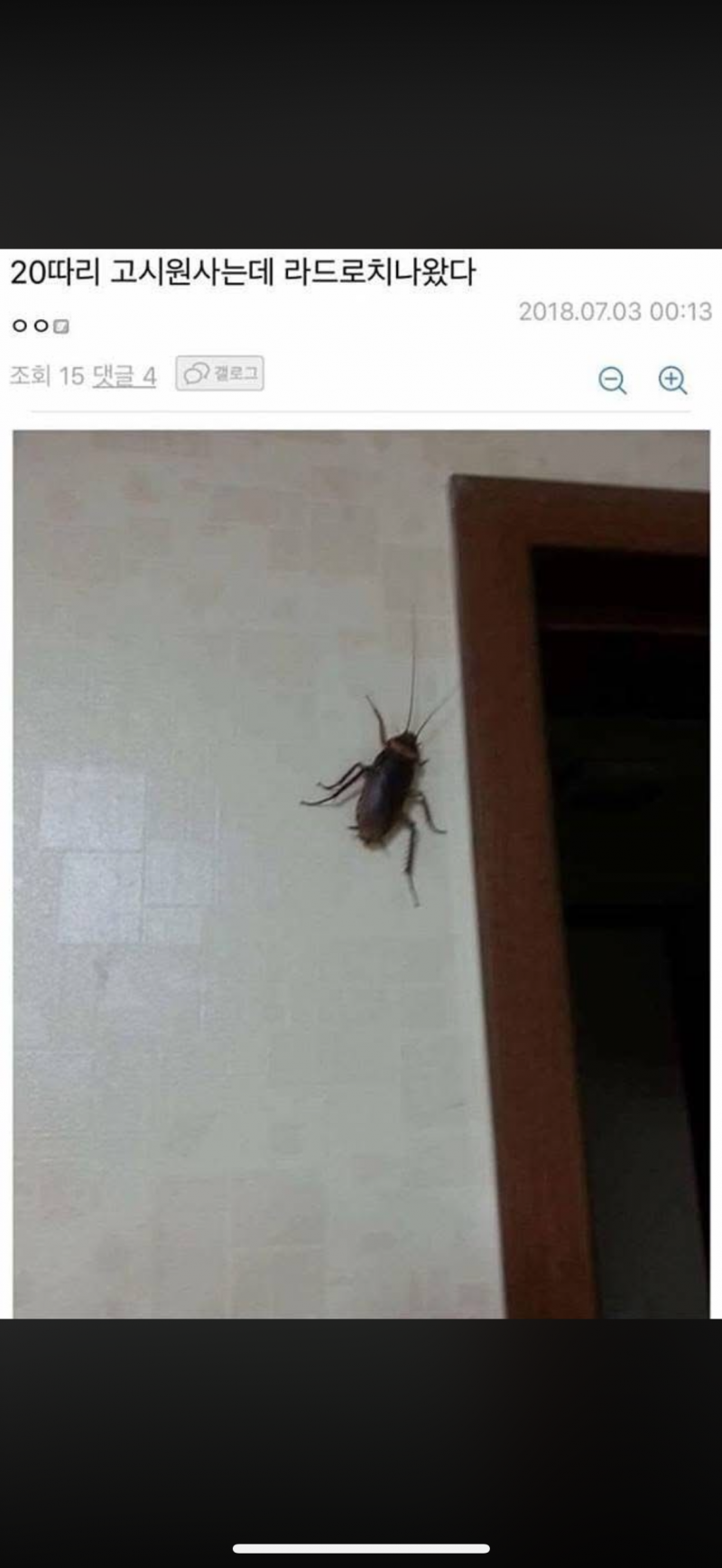 [잡담] 진지하게 원룸 계약했는데 여름에 바퀴벌레 이렇게 나오면은 계약 해지해? | 인스티즈