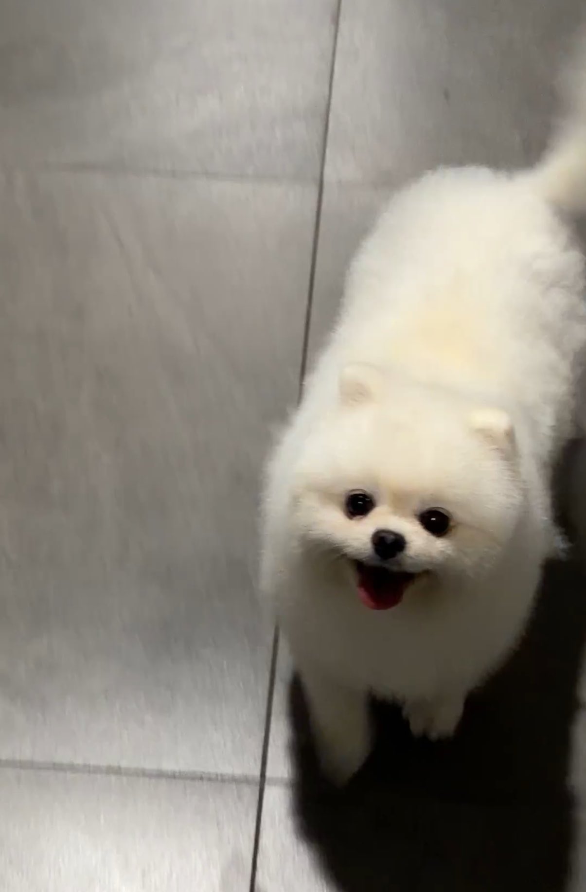 [잡담] 보넥도 정규라고 치트키 쓰네ㅋㅋ | 인스티즈