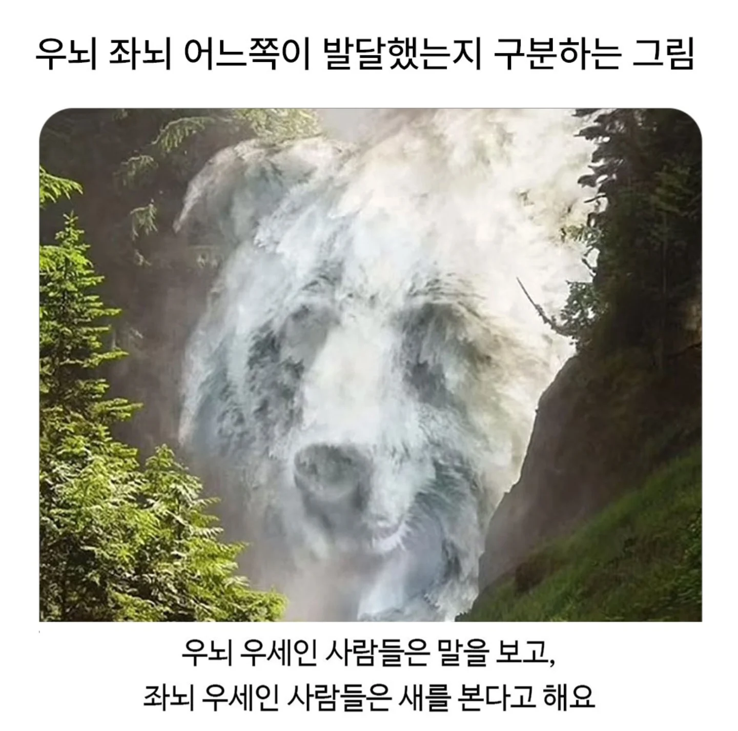 [잡담] 이거 새랑 말이 대체 어딨는지 알려줄 익인이 | 인스티즈