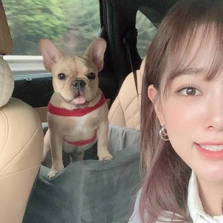 [잡담] 김세정이 키우는 강아지 불독이구나 ㅋㅋㅋ | 인스티즈