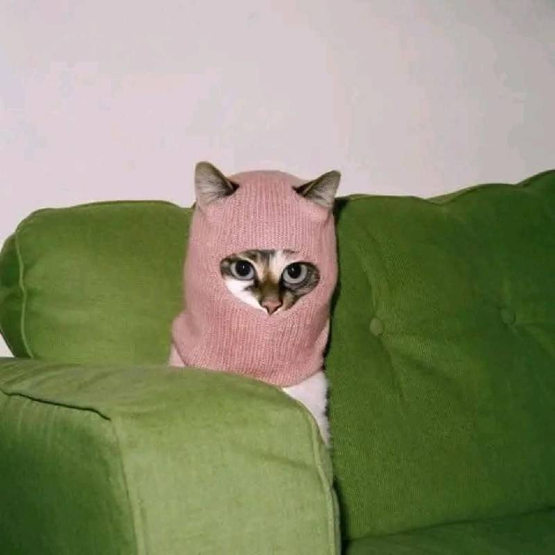 [잡담] 이 사진 왜 힙할까 | 인스티즈