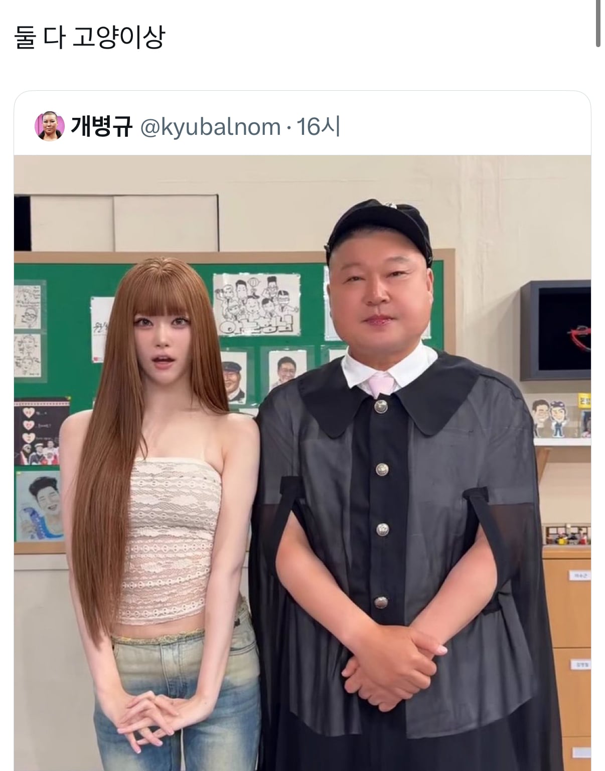 [잡담] 고양이카페갔는데 진짜 두 부류의 고양이가 있더라 | 인스티즈