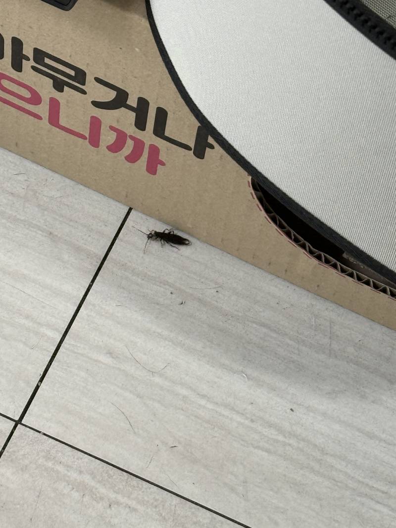 [잡담] 이거 바선생이여? ㅎㅇㅈㅇ | 인스티즈