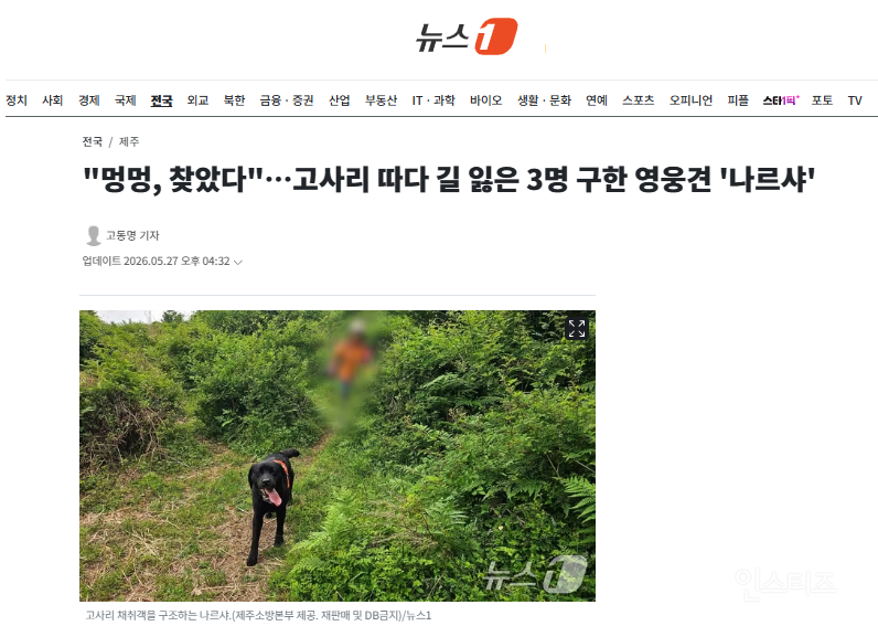 "멍멍, 찾았다"…고사리 따다 길 잃은 3명 구한 영웅견 '나르샤' | 인스티즈