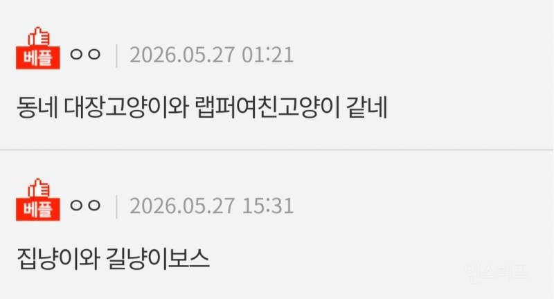 둘다 완전 고양이상 같다.jpg | 인스티즈