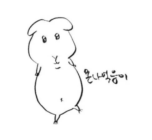 [잡담] 내 저녁 | 인스티즈