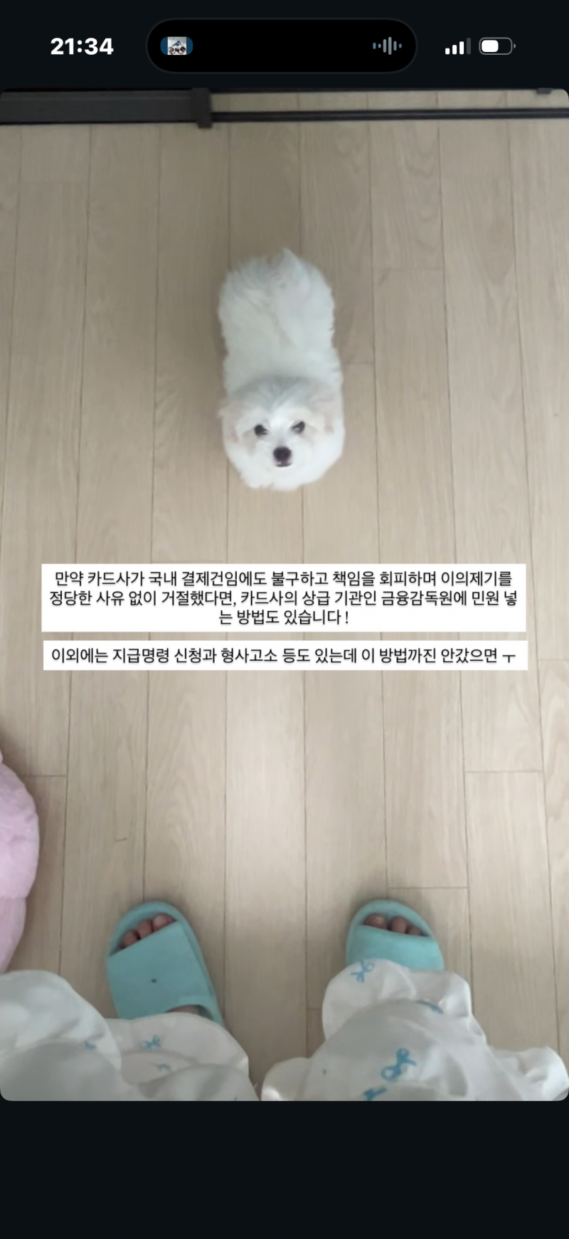 [잡담] 인스타 인플루언서 옛날 아이폰 공구해놓고 업체가 안 보내니까 자긴 쏙 빠지네 | 인스티즈