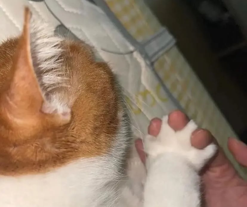 [잡담] 손깍지 끼면 내 사람이다 라는 뜻이지? | 인스티즈