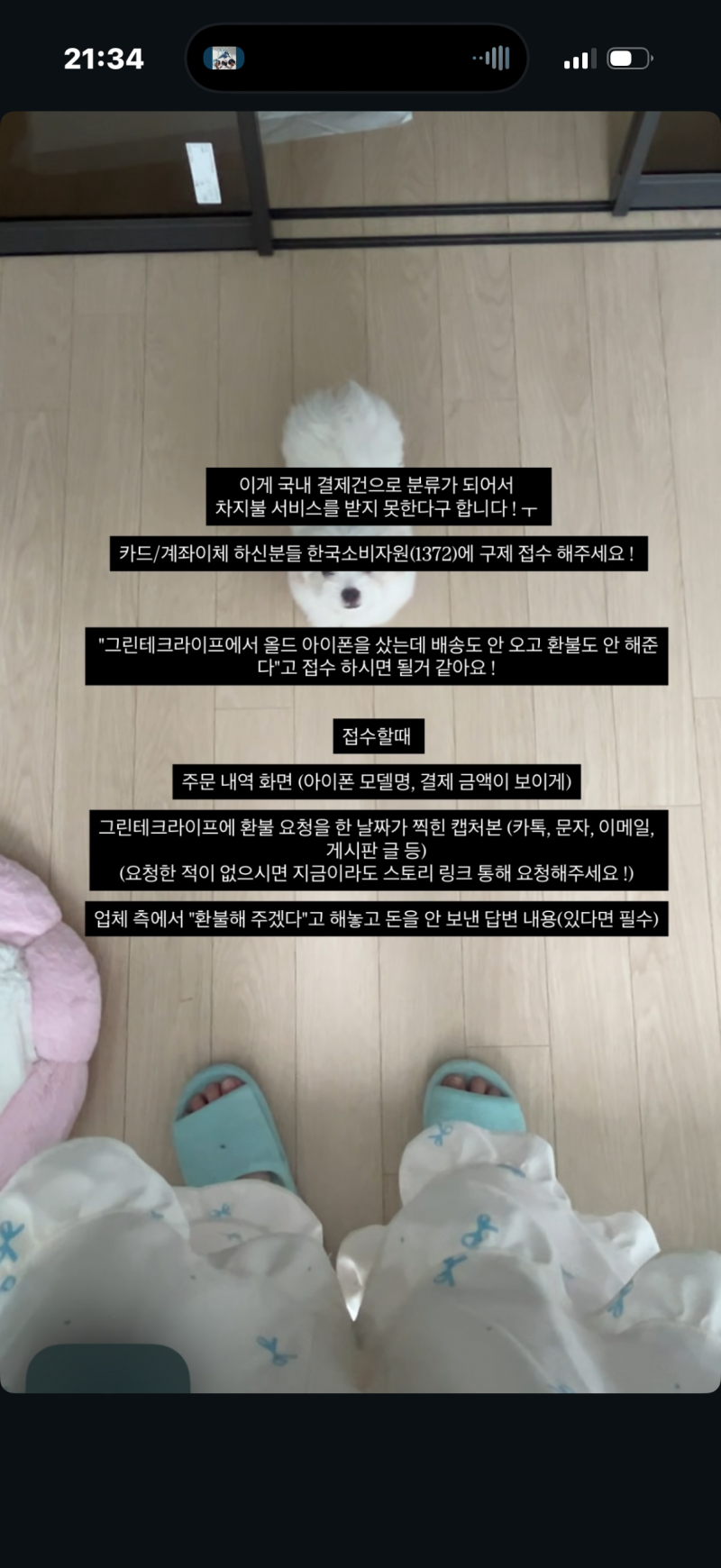 [잡담] 인스타 인플루언서 옛날 아이폰 공구해놓고 업체가 안 보내니까 자긴 쏙 빠지네 | 인스티즈