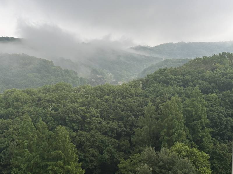 [잡담] 이거 우리집 뷰인데 꽤 맘에 듬 | 인스티즈