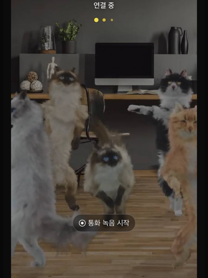 [잡담] 카카오톡 페이스톡 거는데 이런 거 떠서 개놀람 | 인스티즈