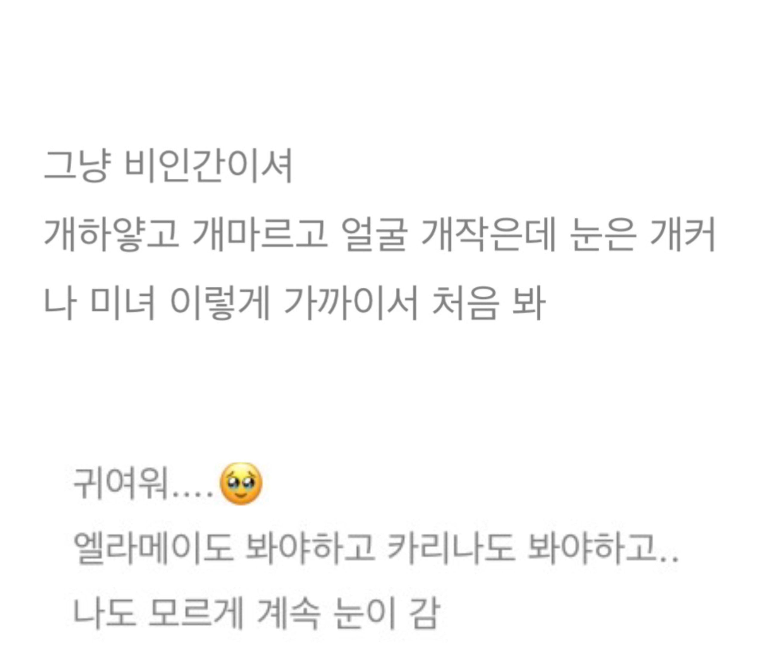 [잡담] 카리나 서재페 블로그목격담 | 인스티즈