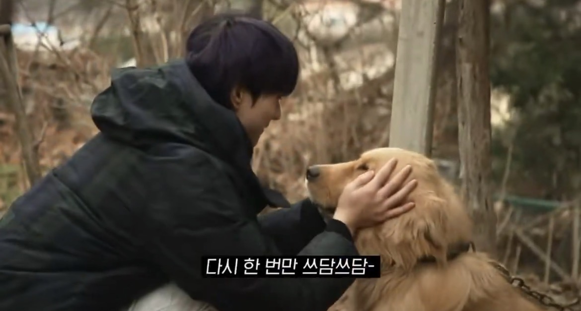 [잡담] 엔하이픈 정원 이거 무슨 자컨(?) 영상? 인지 아는사람 ㅠㅠ | 인스티즈