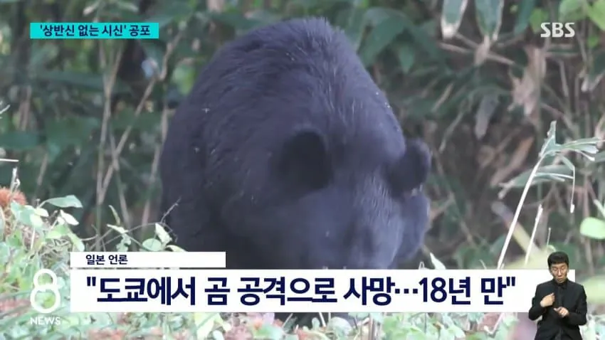 곰들 때문에 초비상 사태 걸린 도쿄 근황 .jpg | 인스티즈
