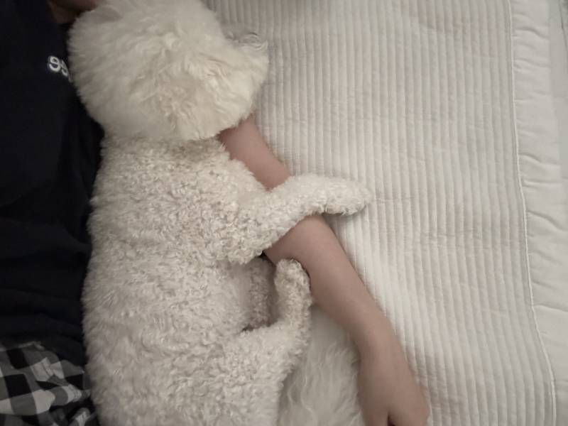 [잡담] 좀 나와봐ㅜ | 인스티즈