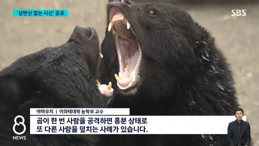곰들 때문에 초비상 사태 걸린 도쿄 근황 .jpg | 인스티즈